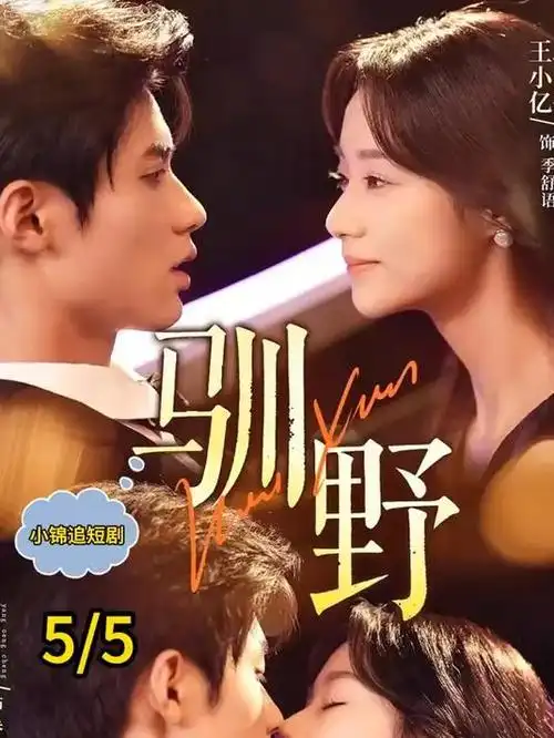 南来北往·春 电视剧海报